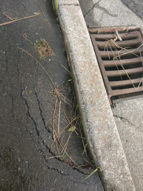 Roading/Streets, a report photo