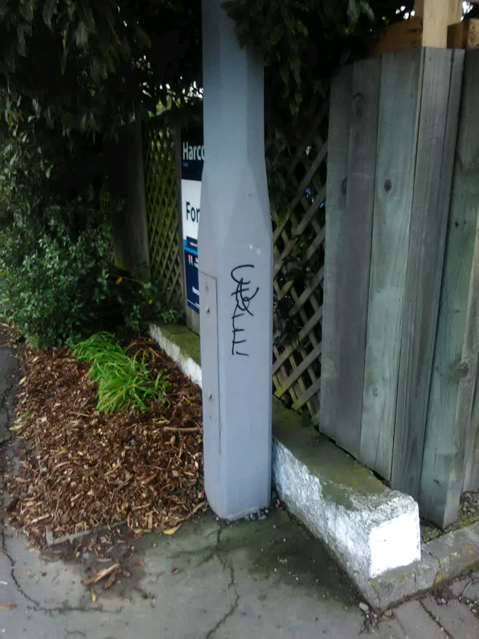 The photograph attached to this graffiti report