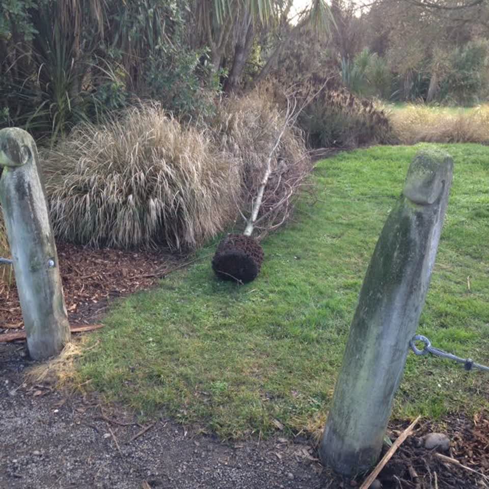 The photograph attached to this parks report