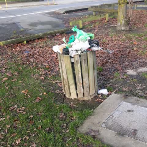 Rubbish/Recycling, a report photo