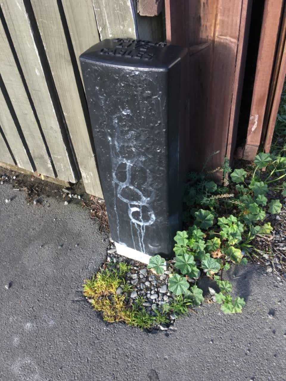 The photograph attached to this graffiti report