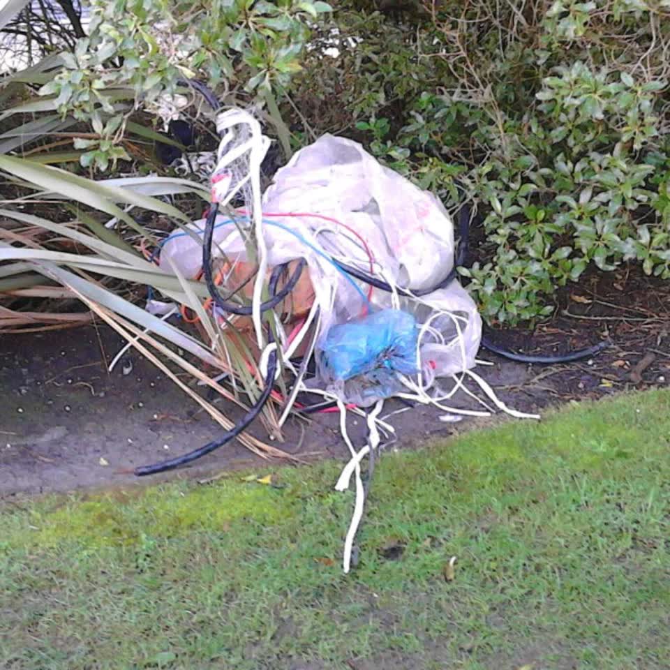 The photograph attached to this parks report