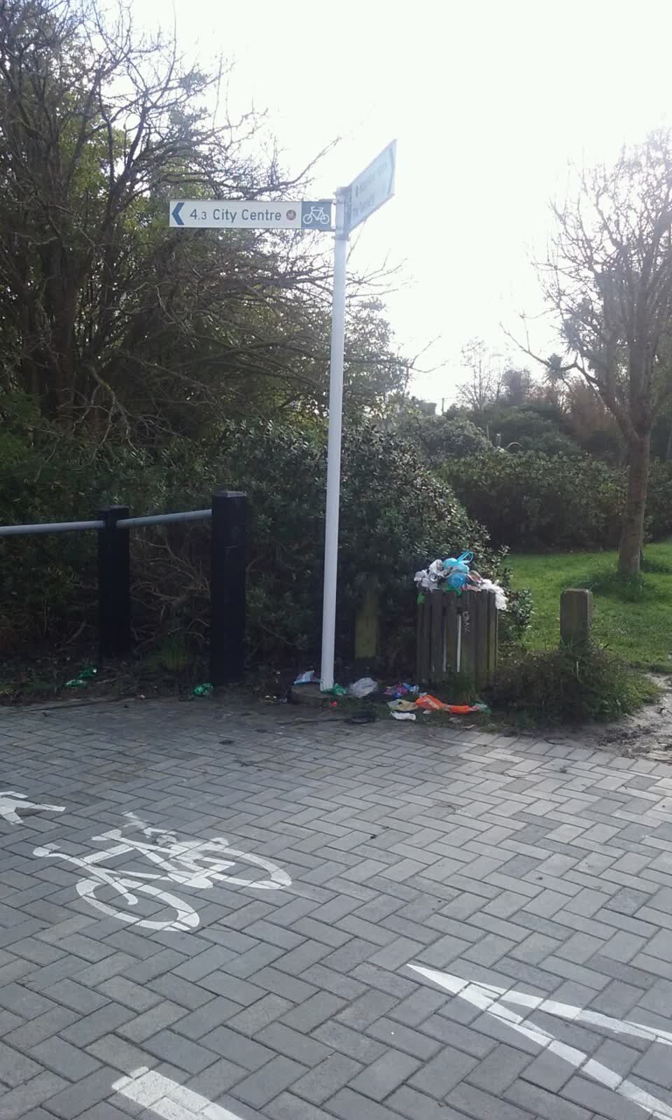 The photograph attached to this rubbish/recycling report