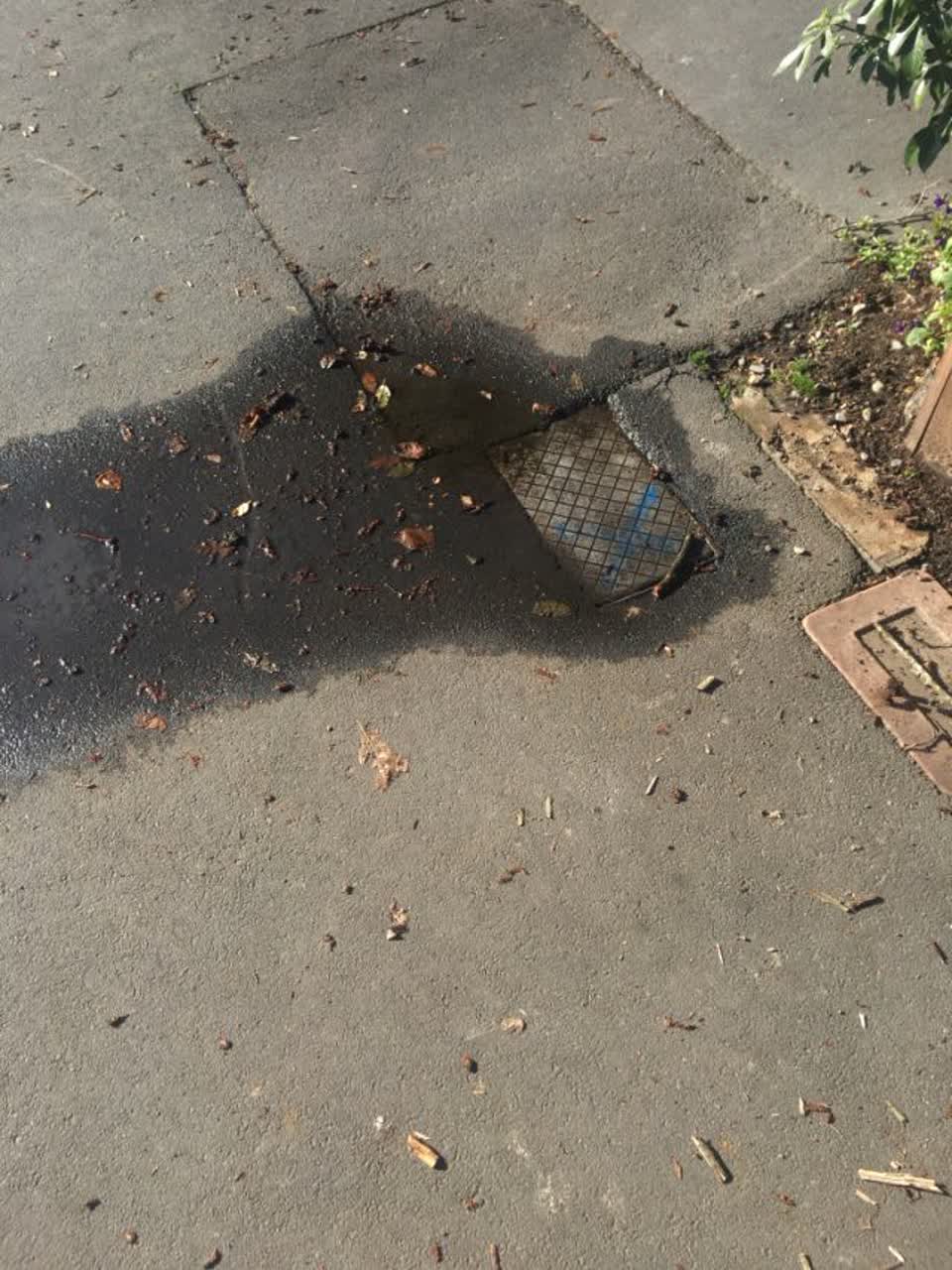 The photograph attached to this water supply report