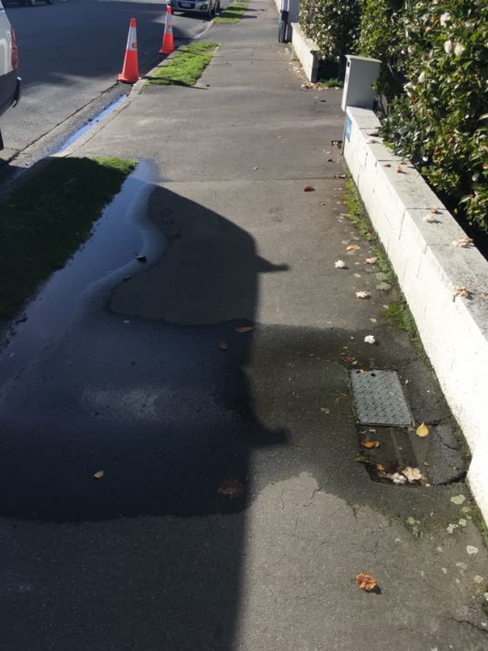 The photograph attached to this roading/streets report