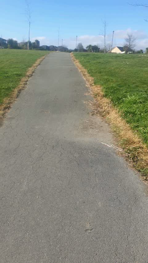 Parks, a report photo