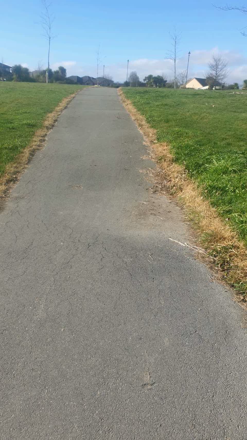 The photograph attached to this parks report