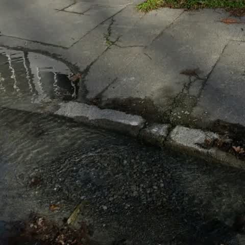 Water Supply — a report photo