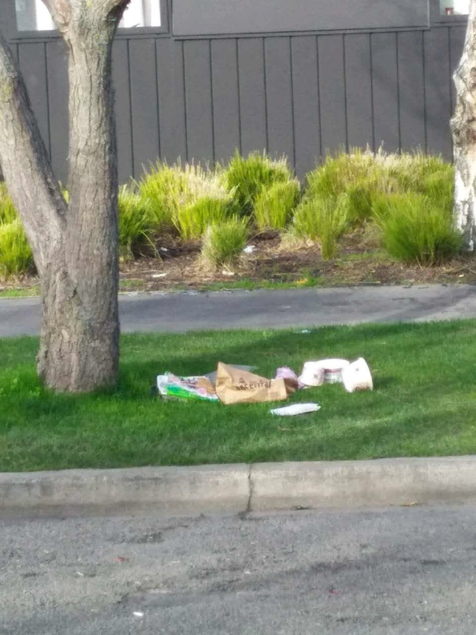 The photograph attached to this rubbish/recycling report