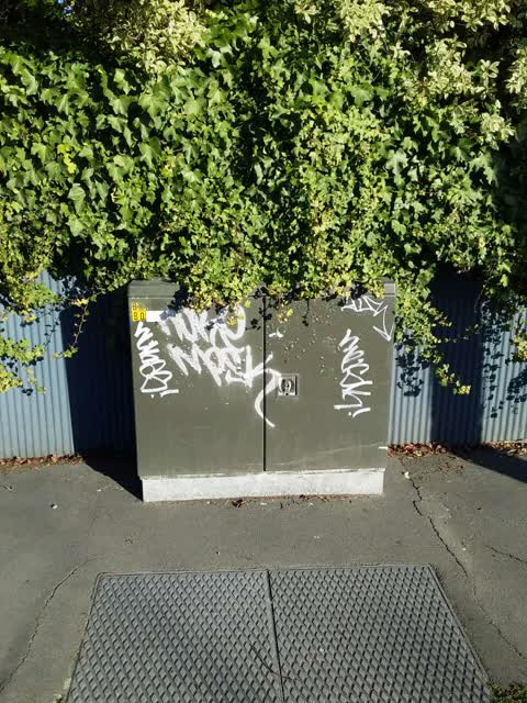 Graffiti, a report photo