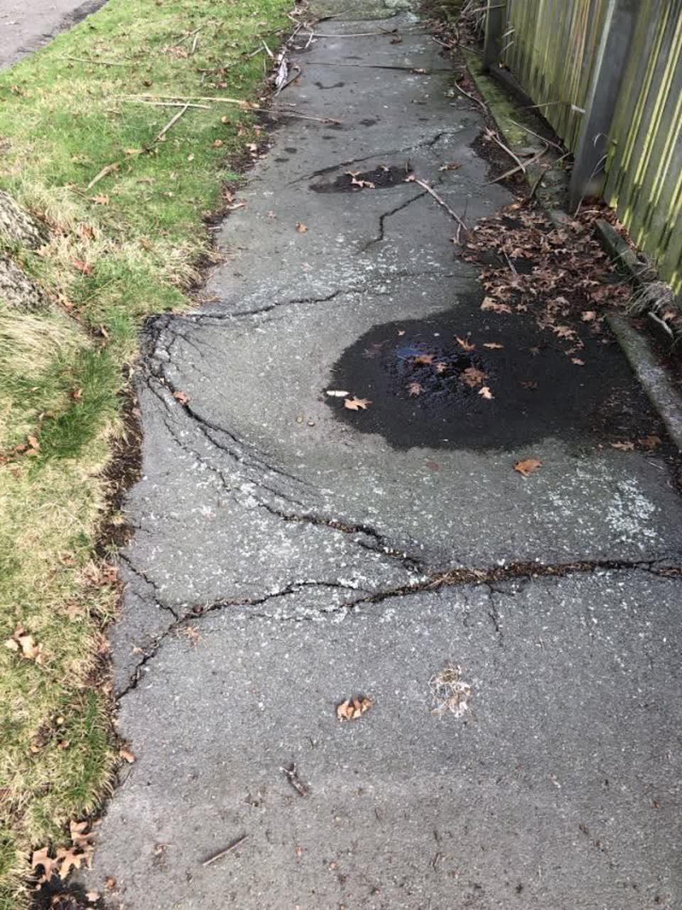 The photograph attached to this roading/streets report