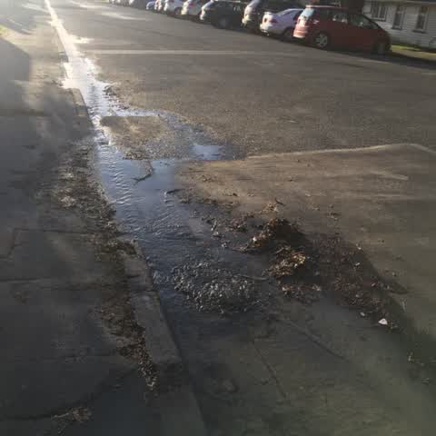 Water Supply, a report photo