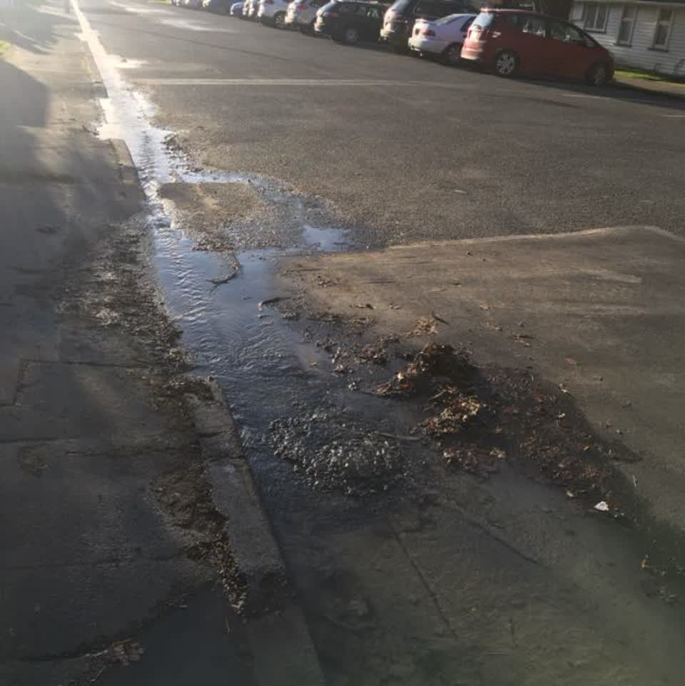 The photograph attached to this water supply report