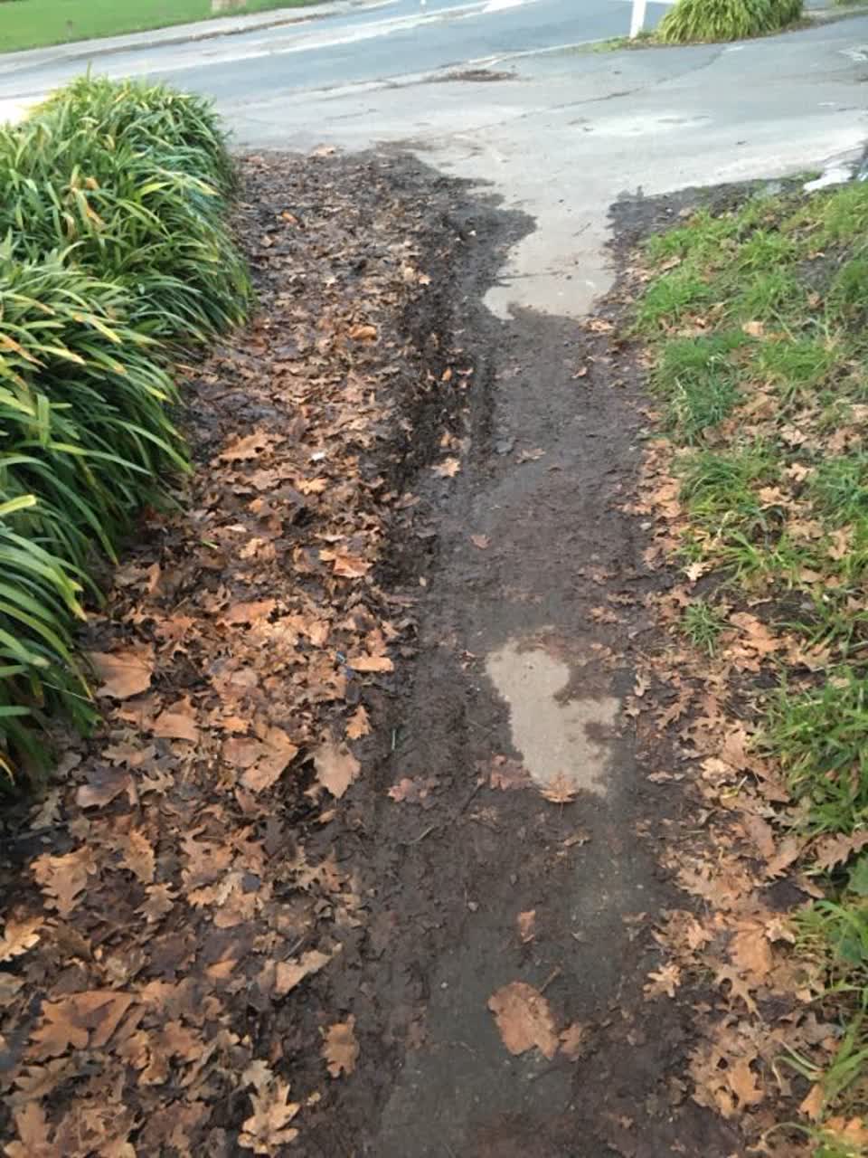 The photograph attached to this roading/streets report