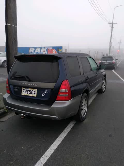 Roading/Streets, a report photo
