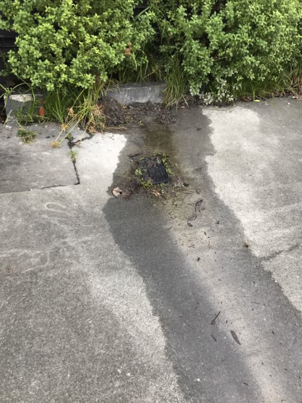 The photograph attached to this water supply report