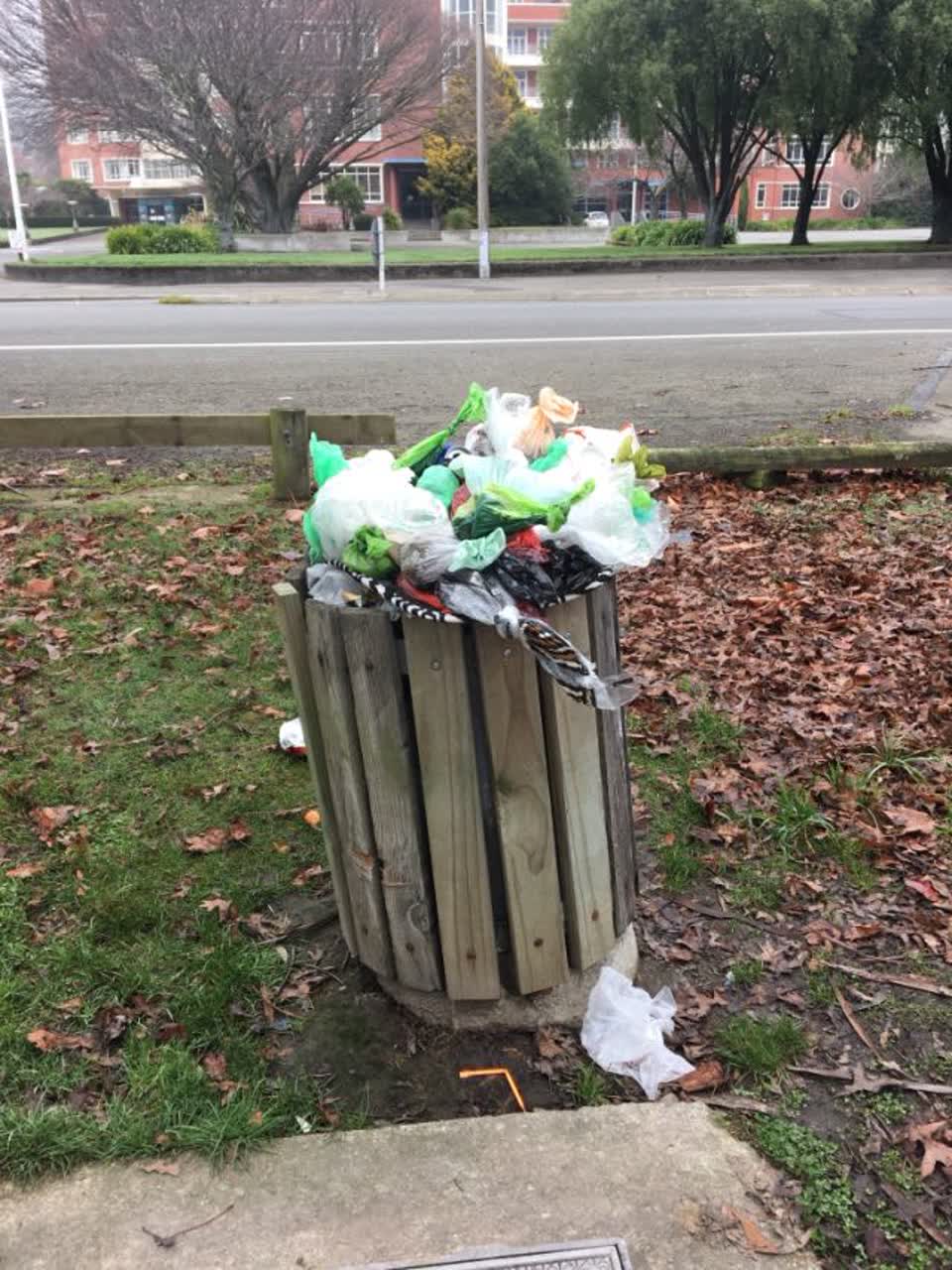 The photograph attached to this rubbish/recycling report