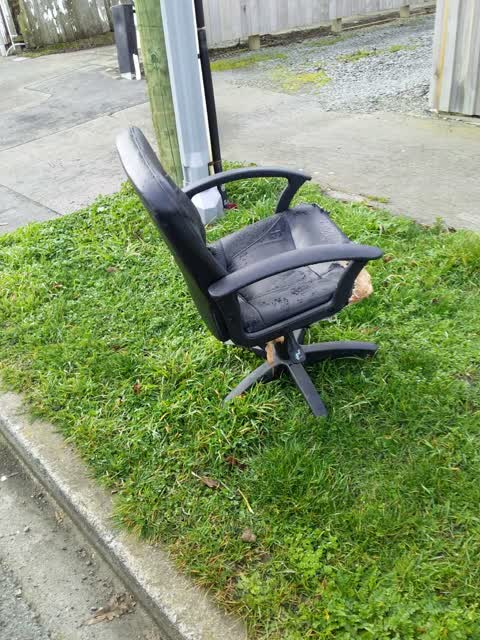Rubbish/Recycling, a report photo