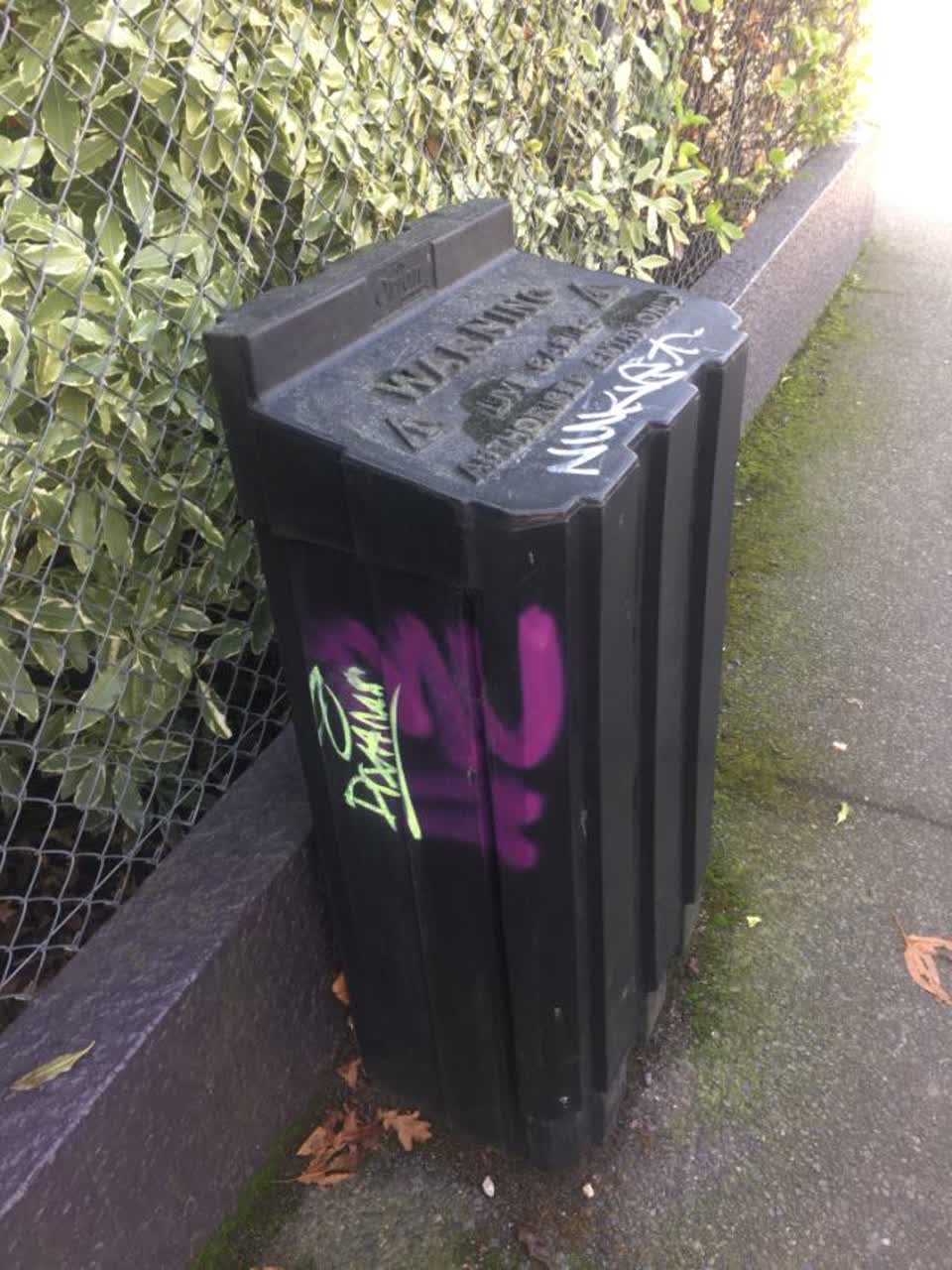 The photograph attached to this graffiti report