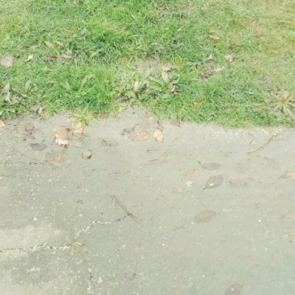 The photograph attached to this wastewater/stormwater report