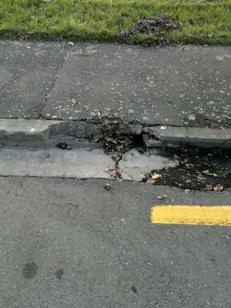 The photograph attached to this roading/streets report