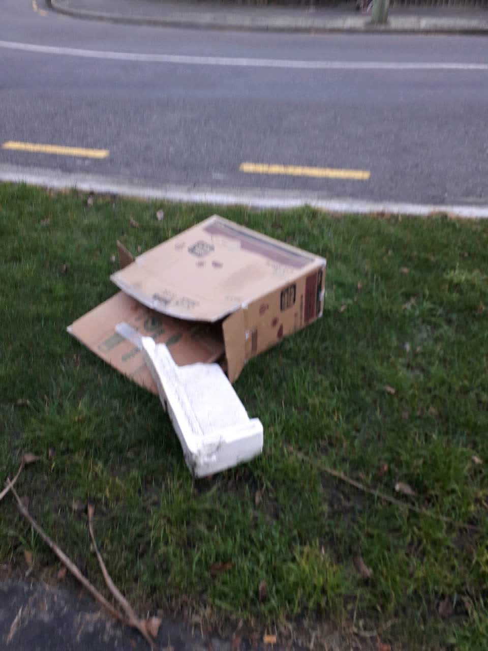 The photograph attached to this rubbish/recycling report