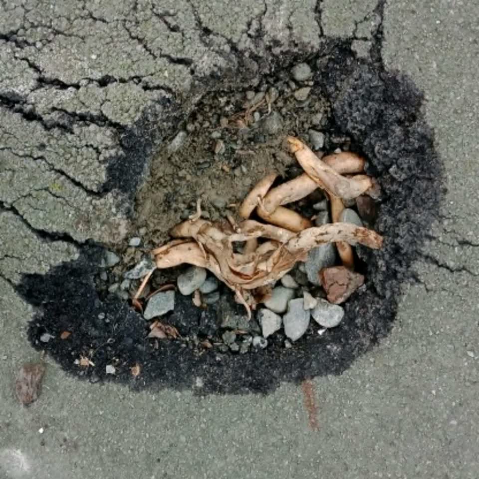 The photograph attached to this roading/streets report