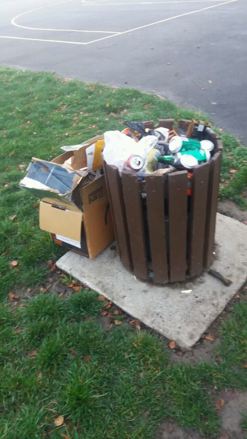 The photograph attached to this rubbish/recycling report