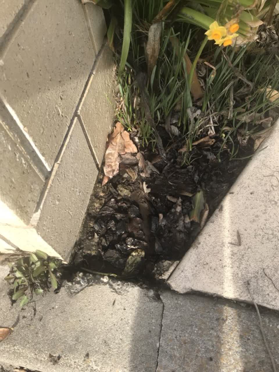 The photograph attached to this water supply report