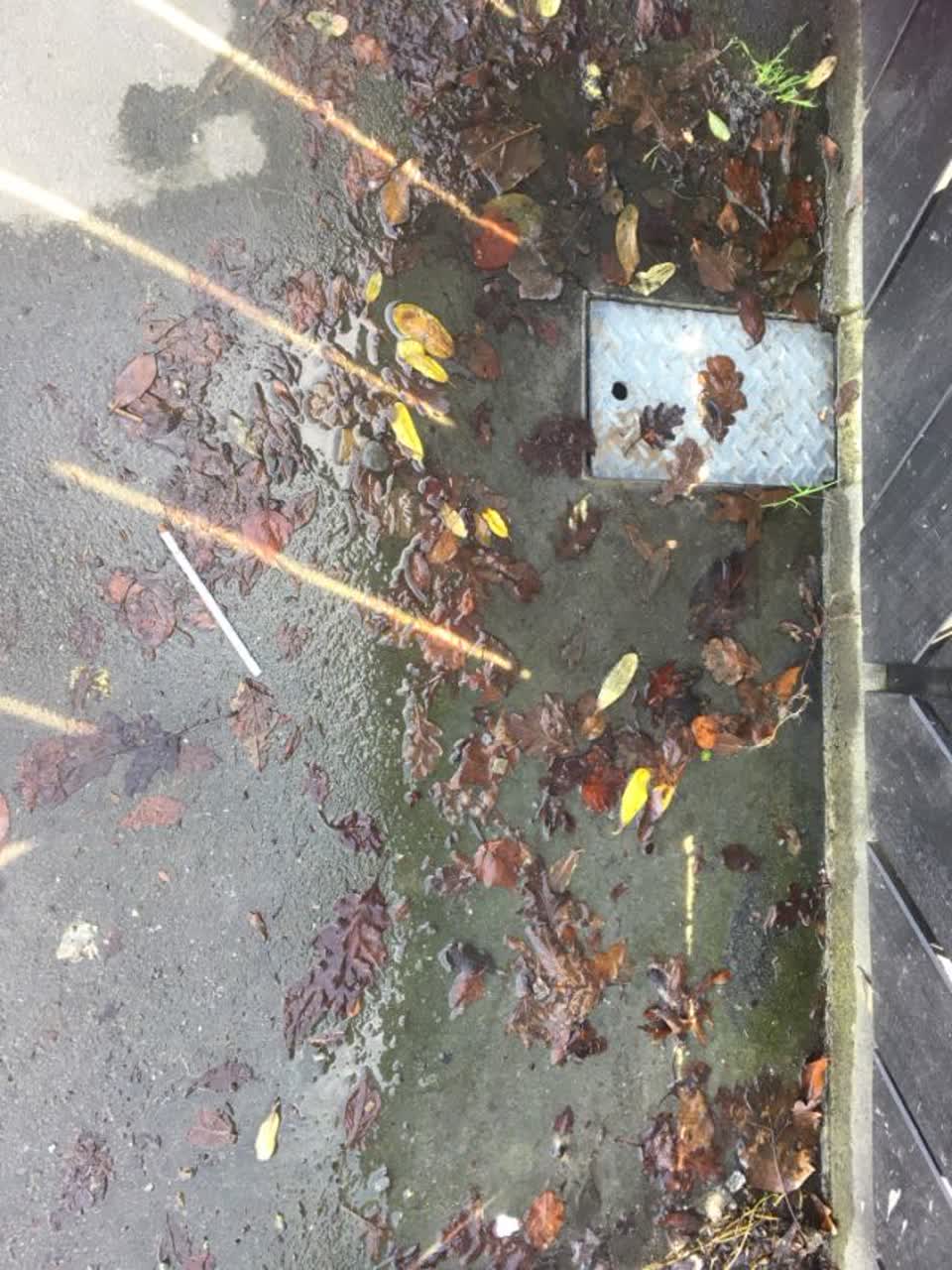 The photograph attached to this wastewater/stormwater report