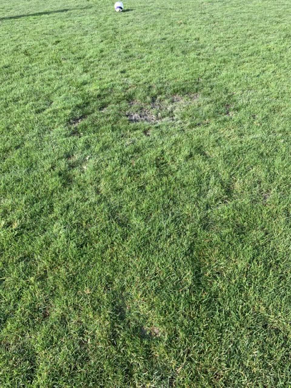 The photograph attached to this parks report