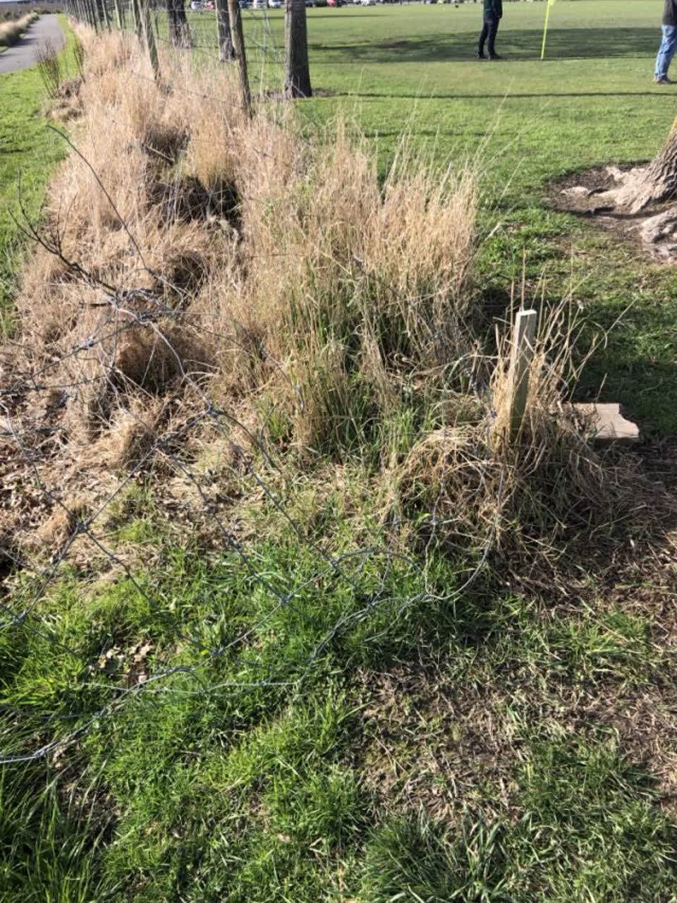 The photograph attached to this parks report