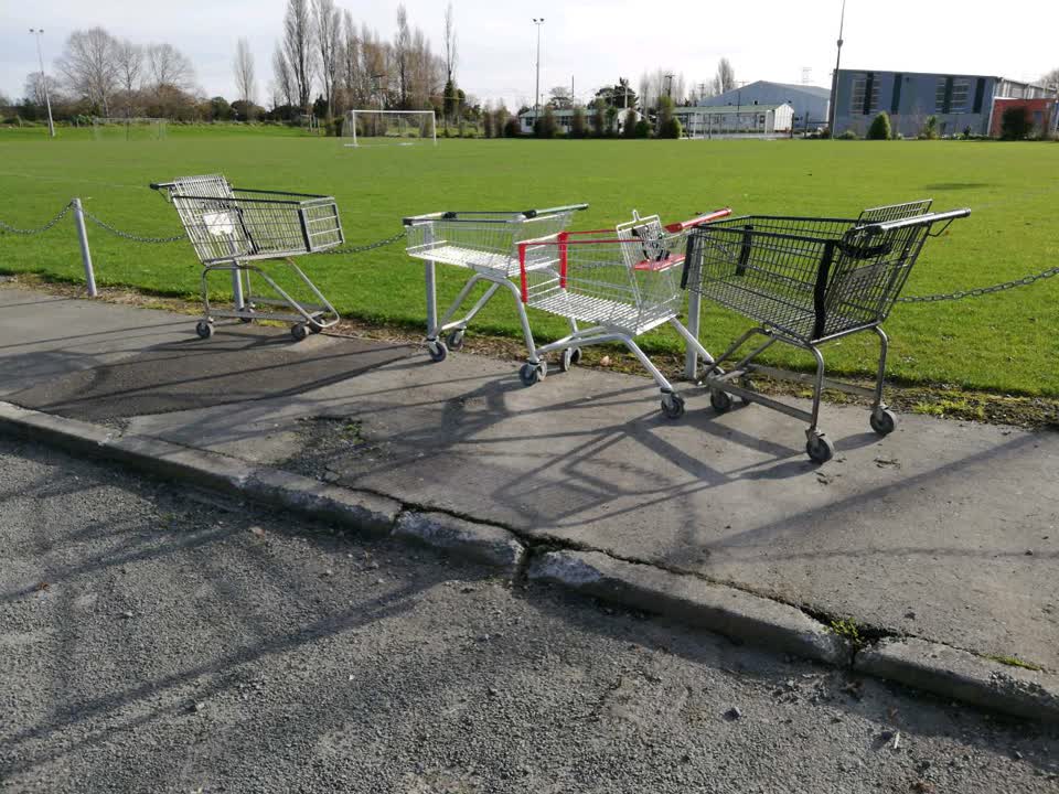 The photograph attached to this parks report