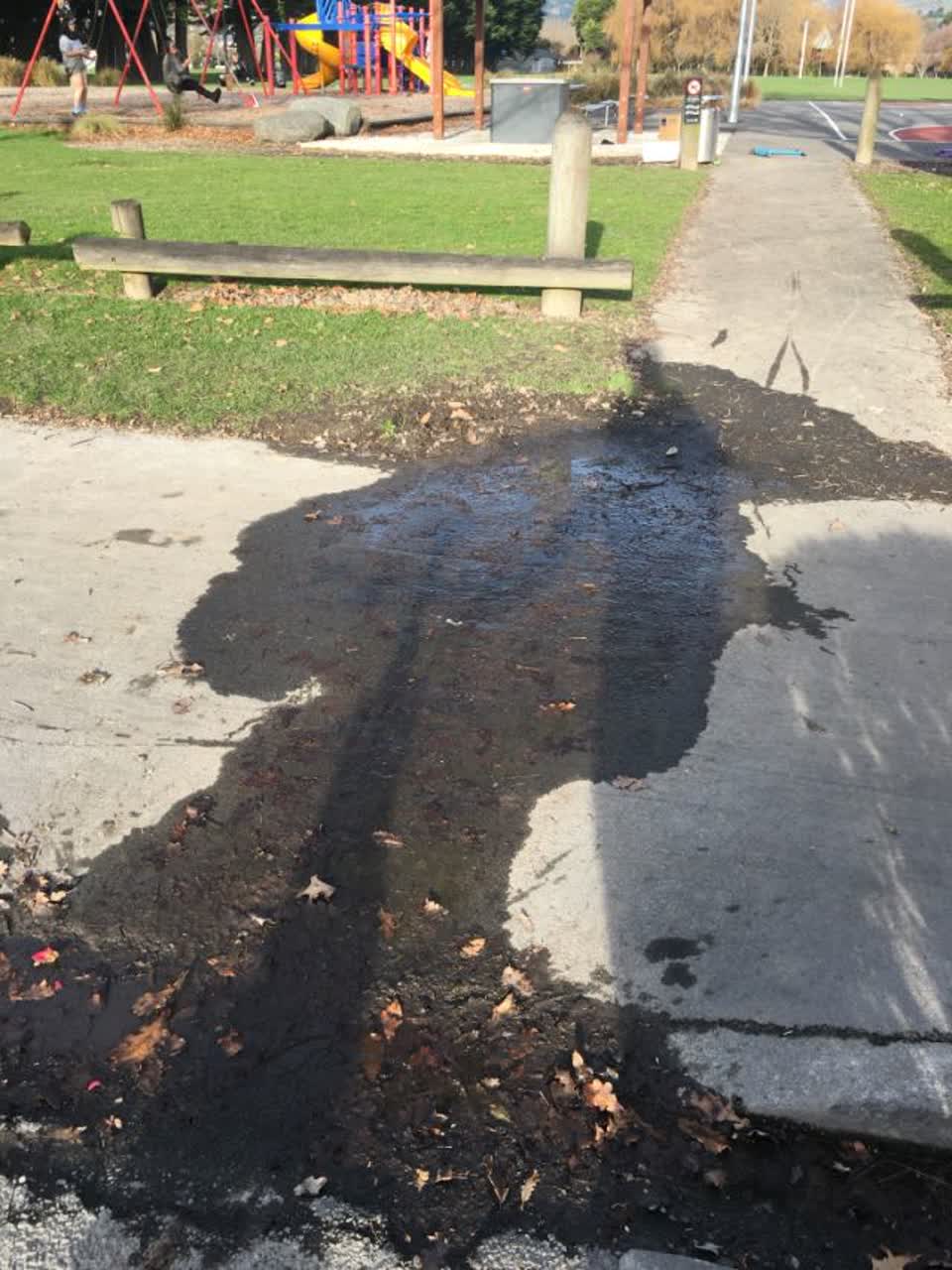 The photograph attached to this flooding report