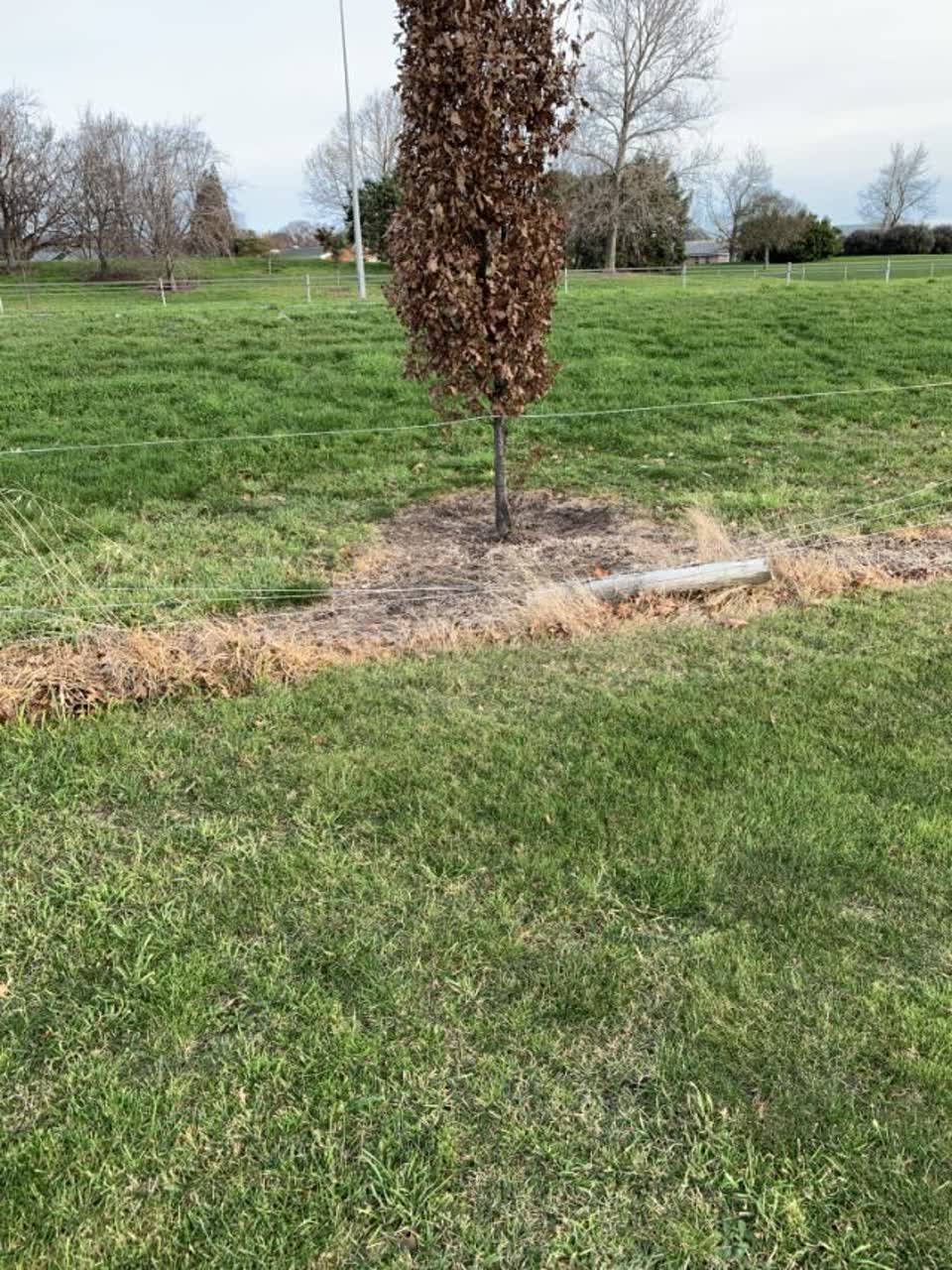 The photograph attached to this parks report