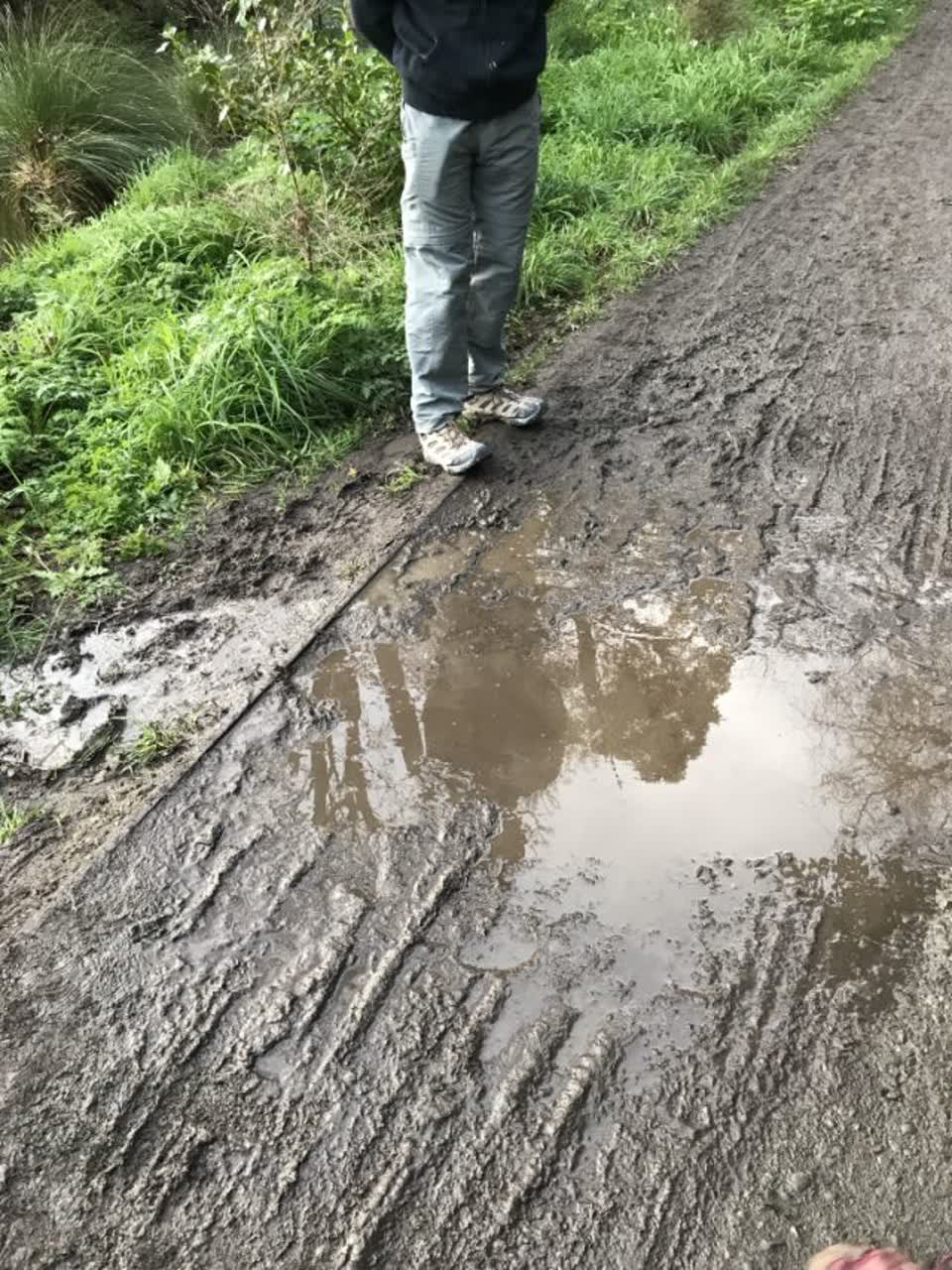 The photograph attached to this parks report