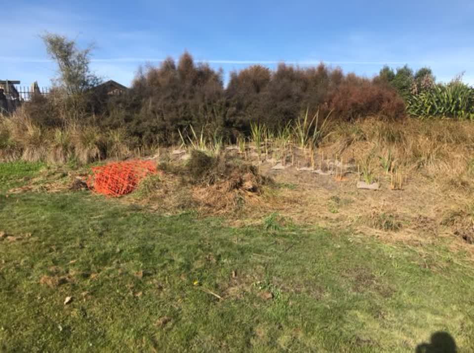 The photograph attached to this parks report