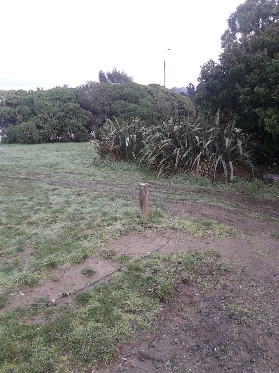 The photograph attached to this parks report