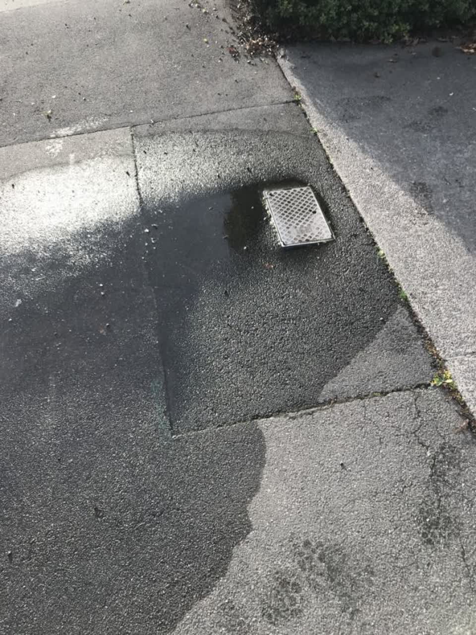 The photograph attached to this water supply report