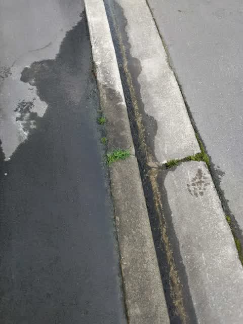 Wastewater/Stormwater, a report photo