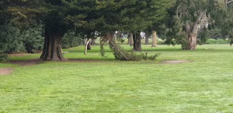 Parks, a report photo