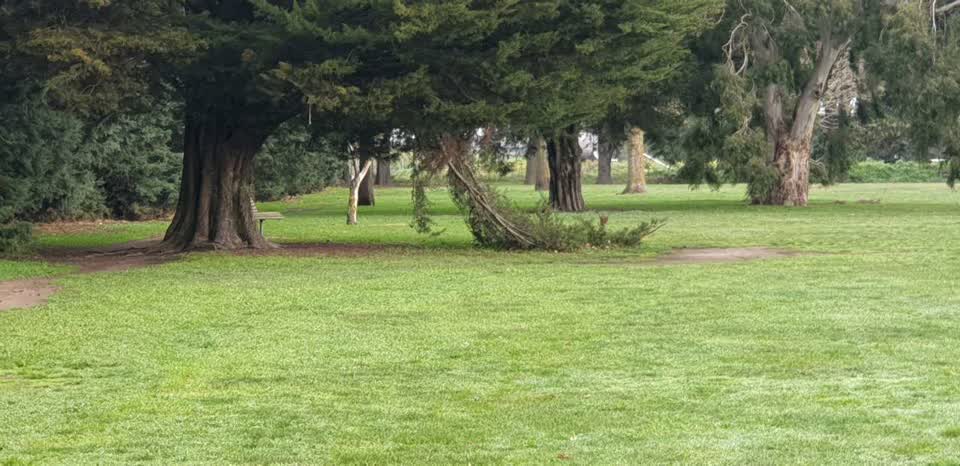 The photograph attached to this parks report