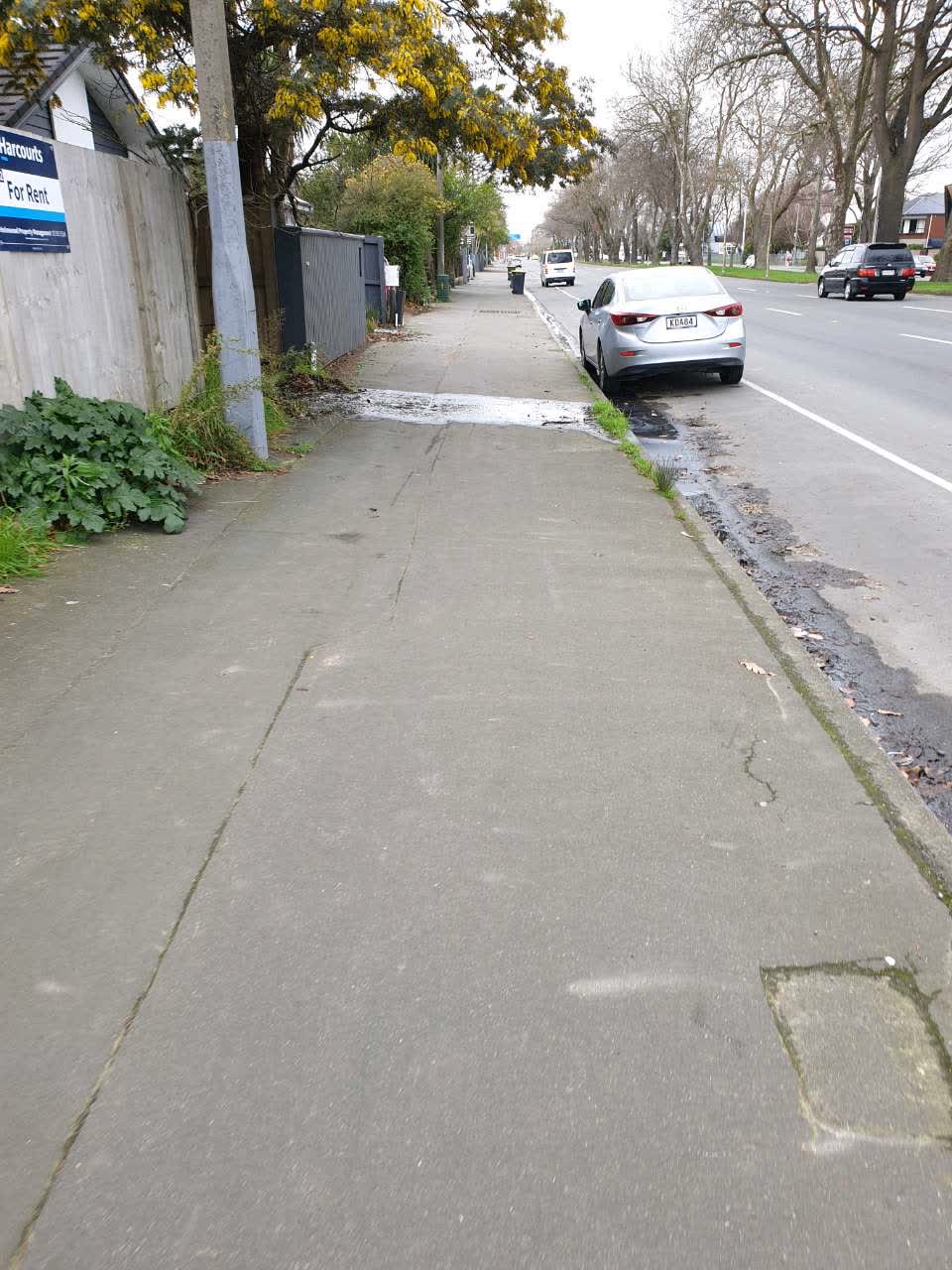 The photograph attached to this water supply report