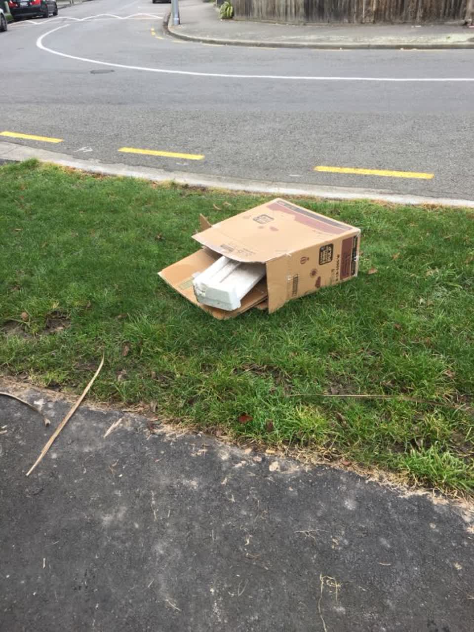 The photograph attached to this rubbish/recycling report