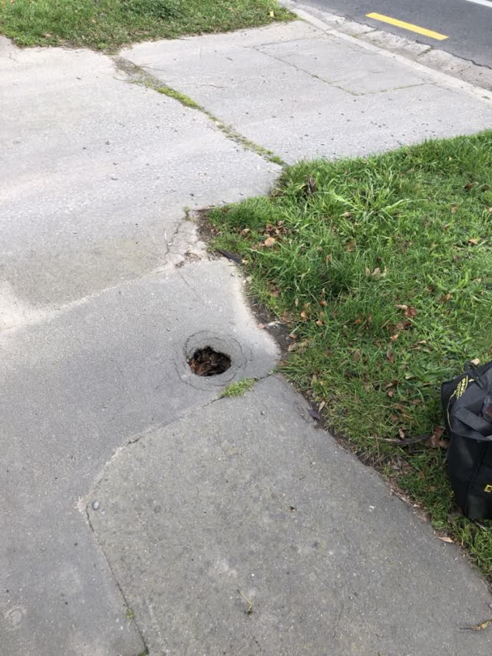 The photograph attached to this roading/streets report