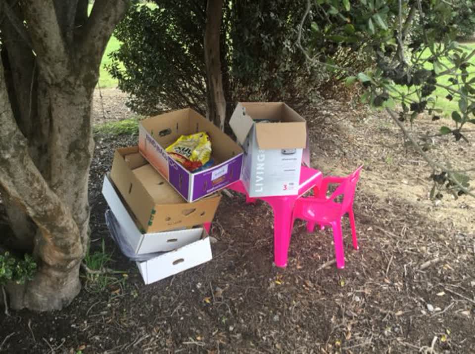 The photograph attached to this rubbish/recycling report