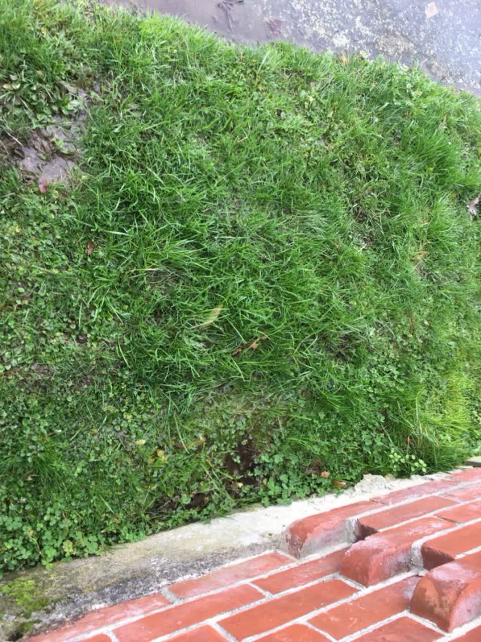 The photograph attached to this flooding report
