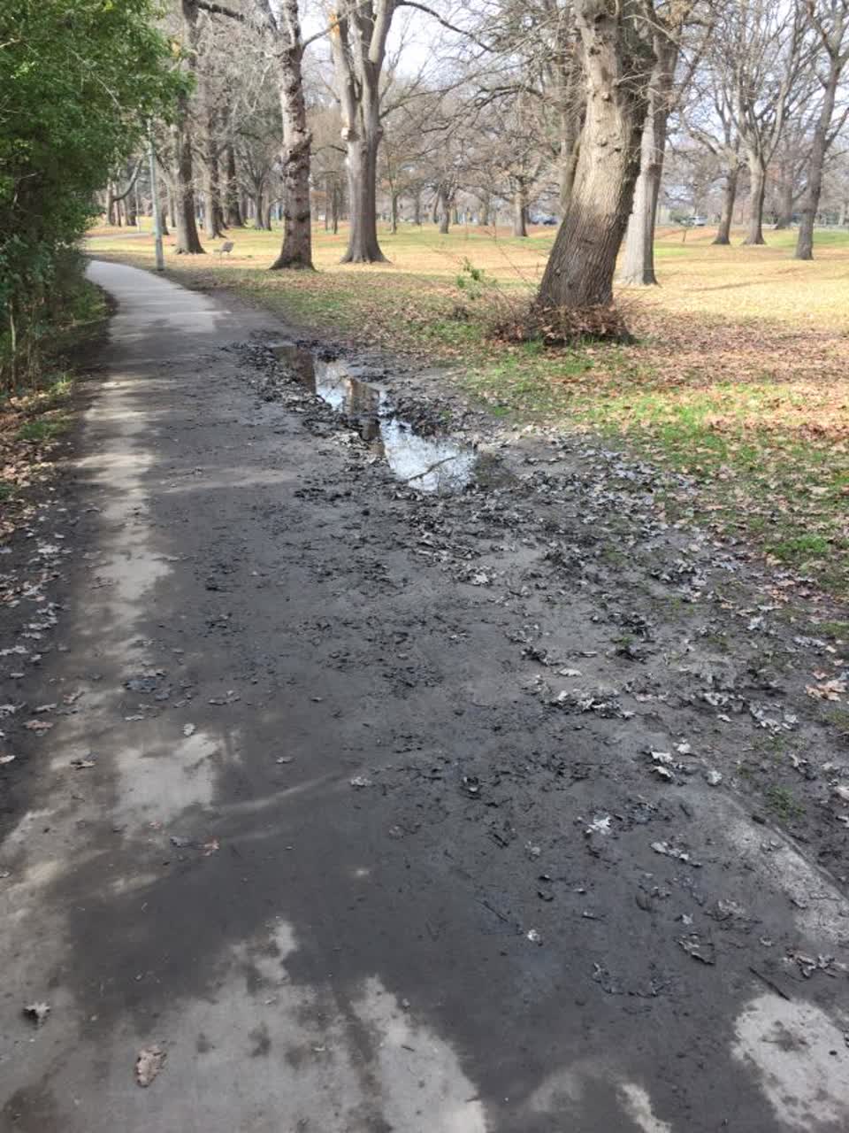 The photograph attached to this parks report