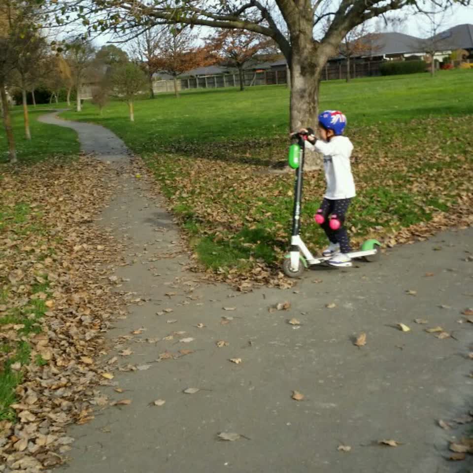 The photograph attached to this parks report
