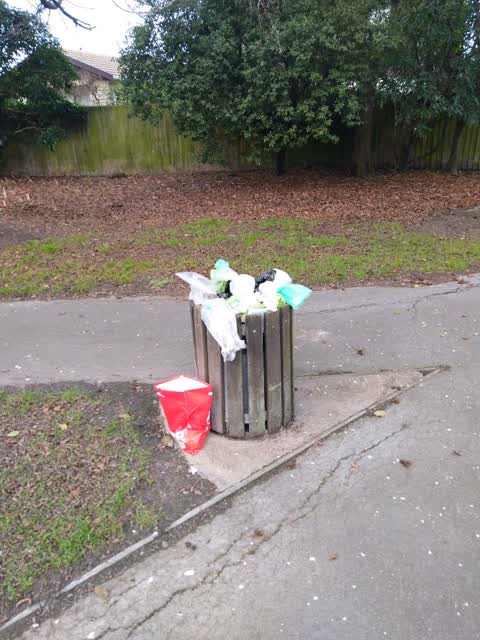 Rubbish/Recycling, a report photo